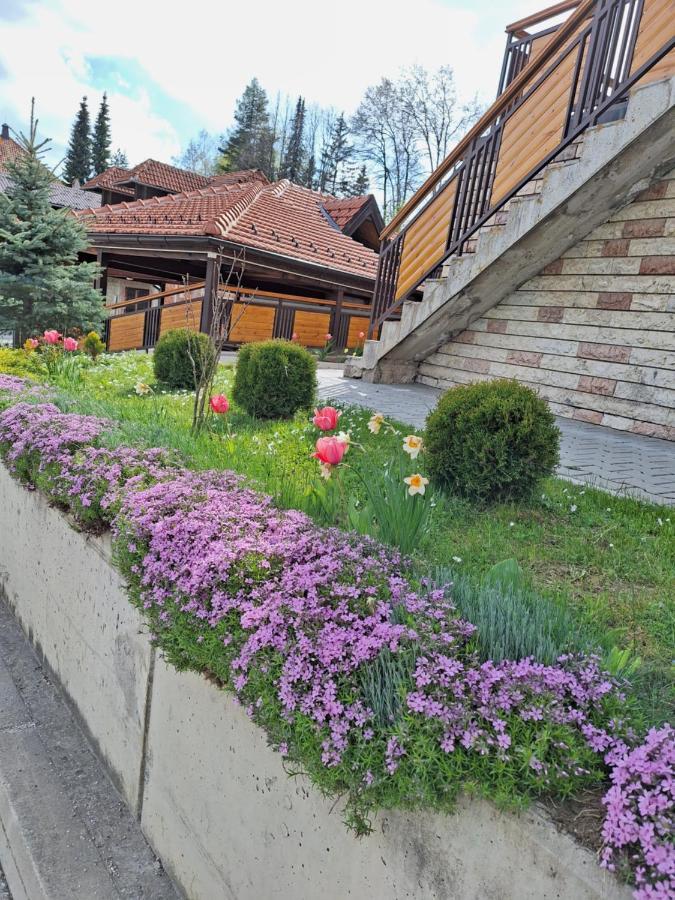 Apartments Monte Vista Златибор Екстер'єр фото